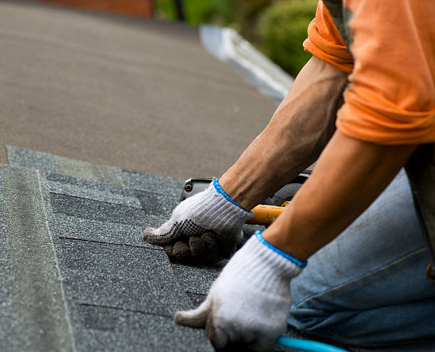 Quick and Trustworthy Emergency Roof Repair Services in Century, FL